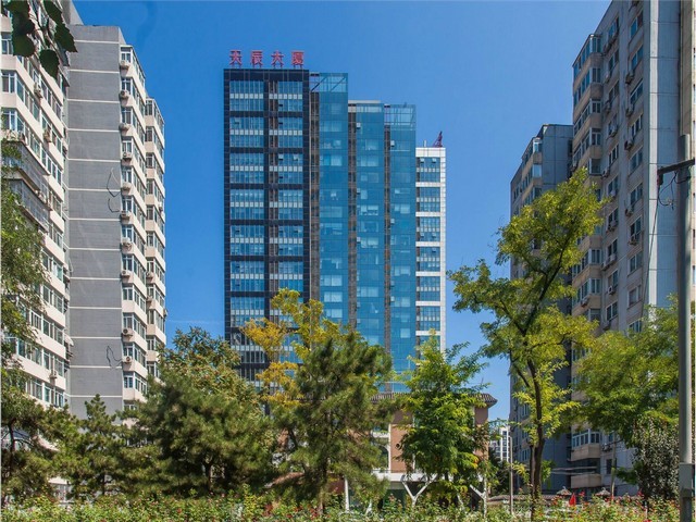 喀什白色和田玉手镯什么价格